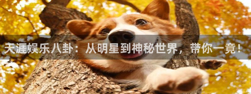 沐鸣2平台官网登录