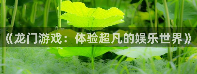 沐鸣2在线登录：《龙门游戏：体验超凡的娱乐世界》