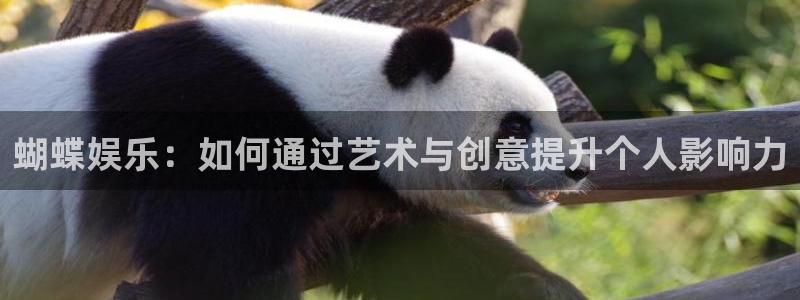 沐鸣2平台：蝴蝶娱乐：如何通过艺术与创意提升个人影响力