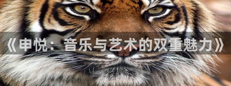 沐鸣2平台：《申悦：音乐与艺术的双重魅力》