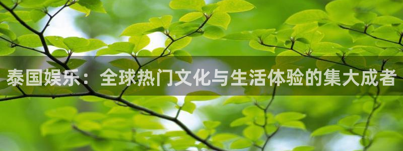 沐鸣官网：泰国娱乐：全球热门文化与生活体验的集大成者