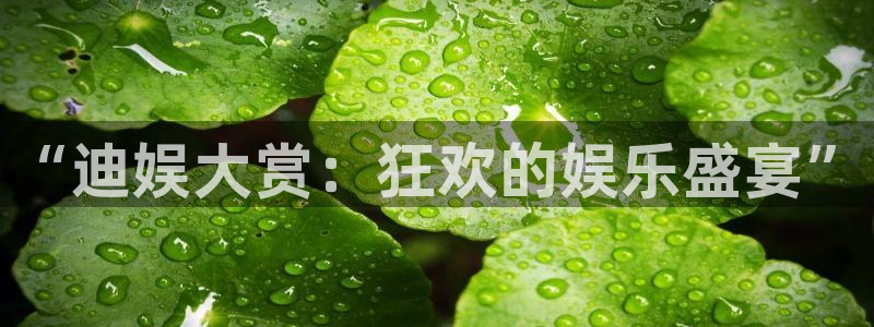 沐鸣2平台官网登录：“迪娱大赏：狂欢的娱乐盛宴”