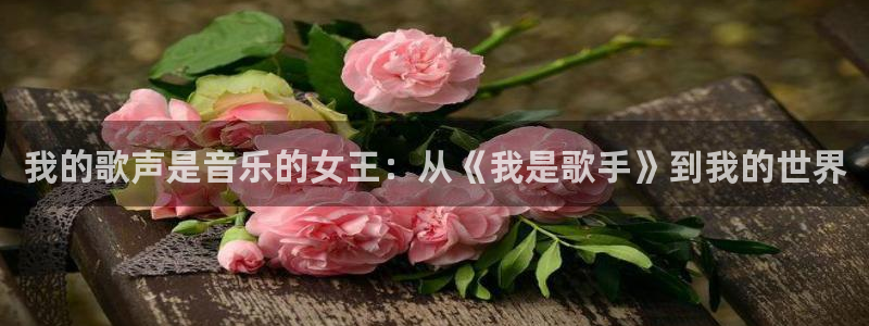 沐鸣2主管：我的歌声是音乐的女王：从《我是歌手》到我的世界